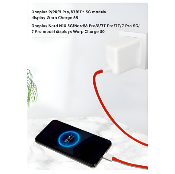 OnePlus 65W Warp Charge Power Adapter with Type-C to Type-C Fast Charging Cable